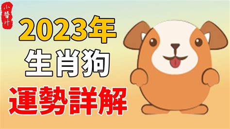 2023屬狗運勢1970|1970年屬狗2023到2024運勢 喜鵲提前來報喜運勢大爆發